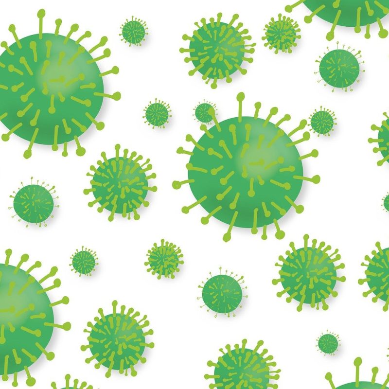 virus-צבא הגנת המעיים 1